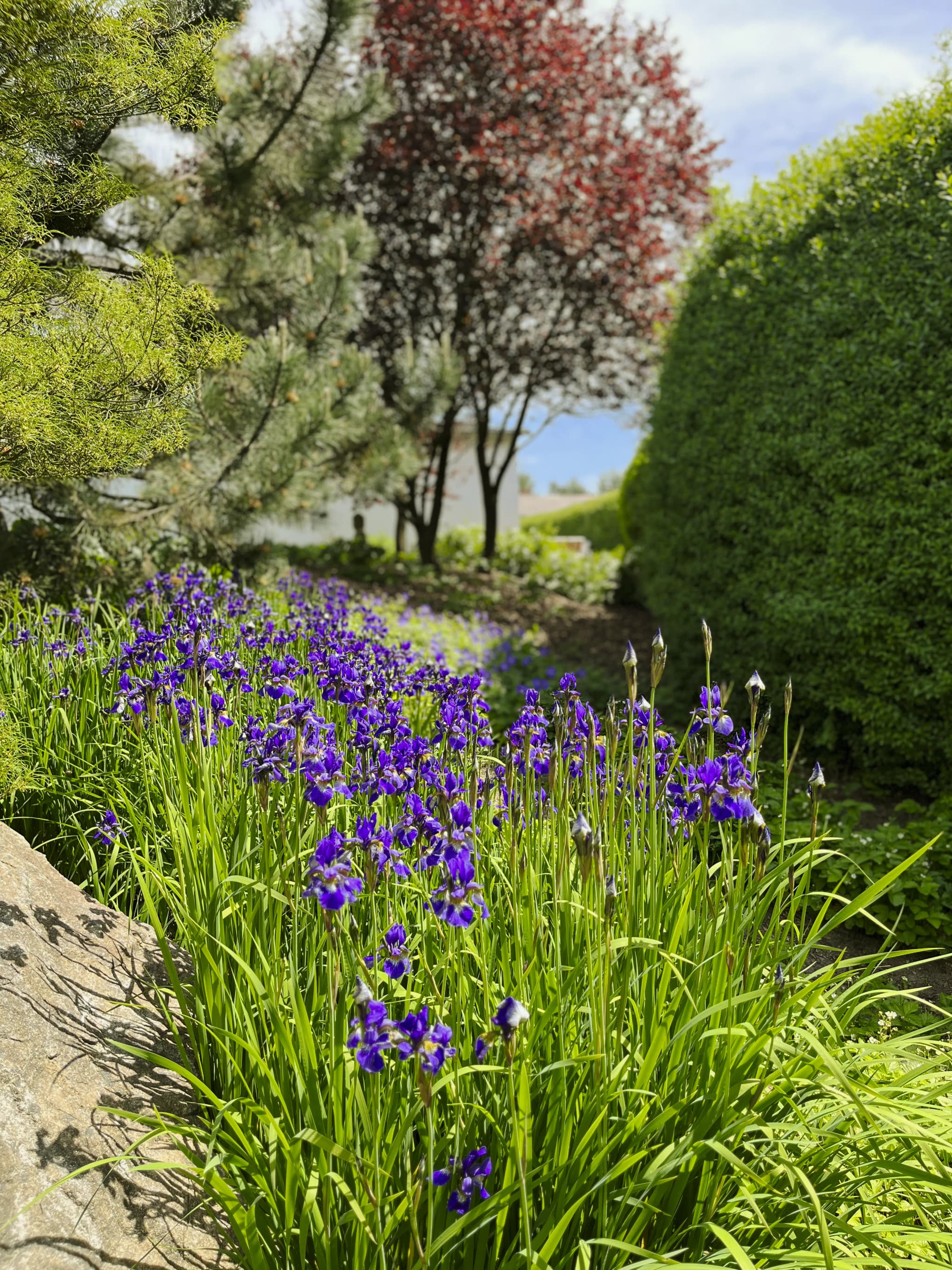 Garden design process from concept sketches to completed landscape